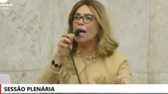 Foto: Reprodução/TV Câmara