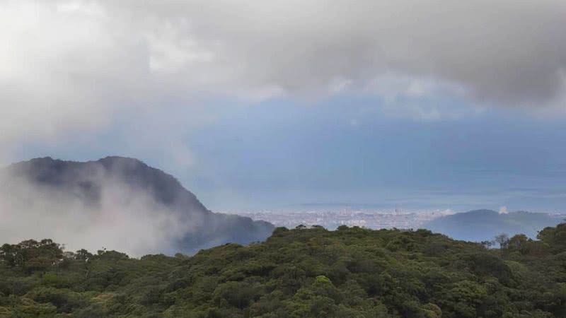 Foto: Divulgação/Parque Estadual da Serra do Mar