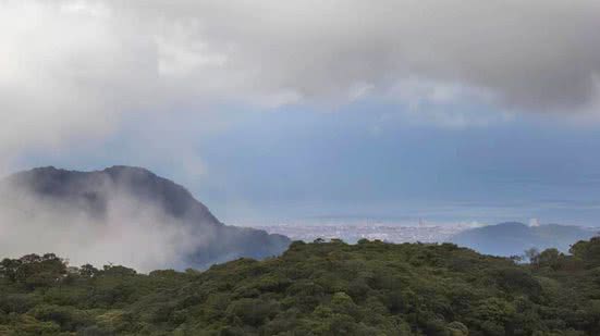 Foto: Divulgação/Parque Estadual da Serra do Mar