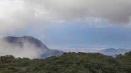 Foto: Divulgação/Parque Estadual da Serra do Mar