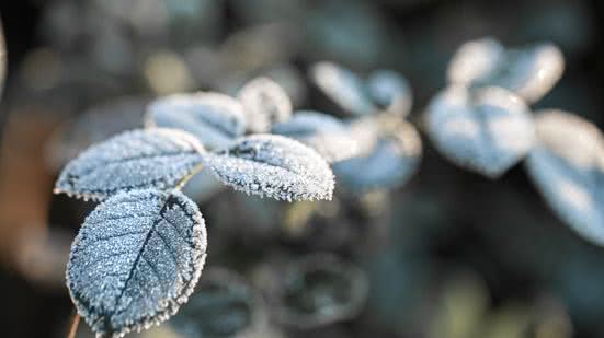O Inmet não descarta a chance de nevar em áreas pontuais do Sul do País. - Foto: Freepik