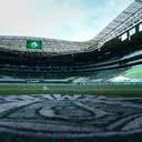 Foto: Divulgação/Palmeiras