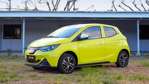 Lançada em 2015, a JMEV nasceu da união entre a estatal chinesa JMCG e a Renault. - (Imagem: Reprodução/Redes Sociais/@2nernation)