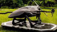 Foto: Divulgação/Psyche Aerospace