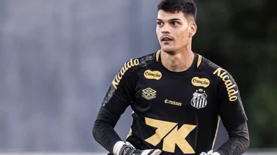 Foto: Raul Baretta/Santos FC via Fotos Públicas