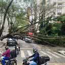 Foto: Reprodução/Instagram