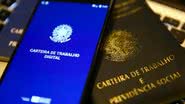 A CTPS digital é o serviço mais utilizado do Governo Federal. - Foto: Bruno Peres/Agência Brasil