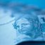O processo para conseguir esse dinheiro pode ser feito de maneira completamente digital. - Foto: Unsplash