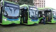 Imagem Transporte público de graça? Cidade do interior paulista libera ônibus sem tarifa