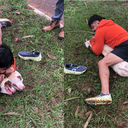 O homem pensou que morreria no ataque, pois pitbulls são muito fortes. - Foto: Reprodução
