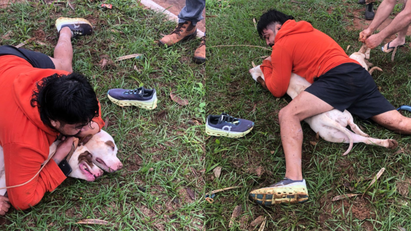 O homem pensou que morreria no ataque, pois pitbulls são muito fortes. - Foto: Reprodução