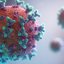 A variante XFG foi encontrada em 46 casos de Covid-19 diagnosticados de 1º a 8 de julho. - Foto: Unsplash