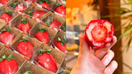 Reprodução/ Instagram