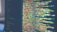 A quantia será paga em dólares. - Foto: Unsplash