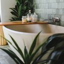 O ambiente úmido e com pouca luz solar é ideal para essas espécies - Foto: Unsplash