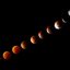 Foto: Anderson Fetter/Agência RBS