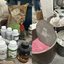 Foto: Divulgação/Anvisa