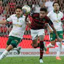 Foto: Cesar Greco/Palmeiras via Fotos Públicas