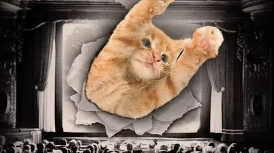 O evento será realizado no Centro Cultural São Paulo e começa a partir das 15h. - Foto: Reprodução GatoFest