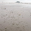 Reprodução/ Diário do Litoral