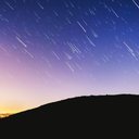 O fenômeno ocorre todos os anos. - Foto: Unsplash