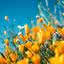 Seus efeitos podem causar mudanças na temperatura e distribuição das chuvas em diversas regiões. - Foto: Unsplash