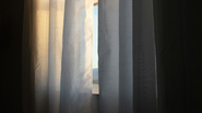 Reprodução/ Unsplash