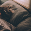 Reprodução/Unsplash