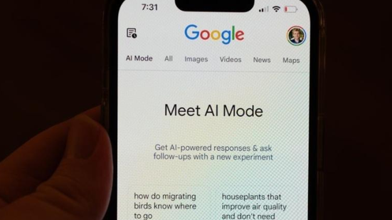 Reprodução/ Google IA