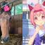 Foto: Divulgação/Martha Farm/Cygames
