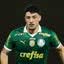 Foto: Cesar Greco/Palmeiras