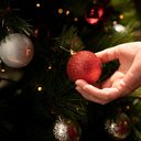 Foto: Reprodução/Freepik