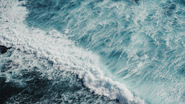 Reprodução/ Unsplash