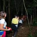 Foto: Reprodução/Floresta Cantareira