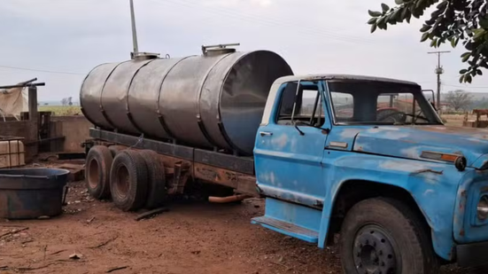 Polícia Ambiental/reprodução