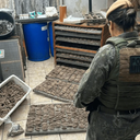 Reprodução/Polícia Militar
