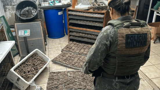 Reprodução/Polícia Militar