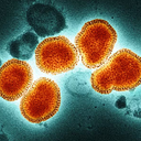 Foto: Reprodução/NIAD