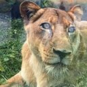 Foto: Reprodução/Redes sociais.