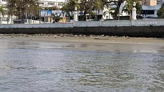 Foto: Reprodução/Paula Ribeiro/Arquivo Pessoal