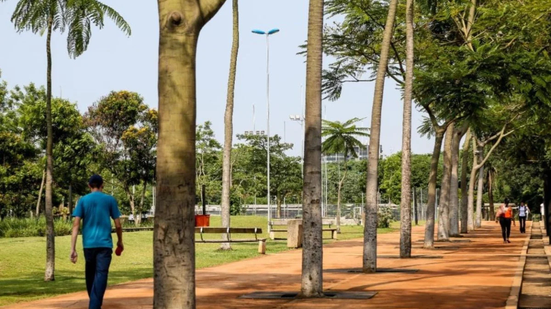Foto:Reprodução/Parque da Juventude/ Semil