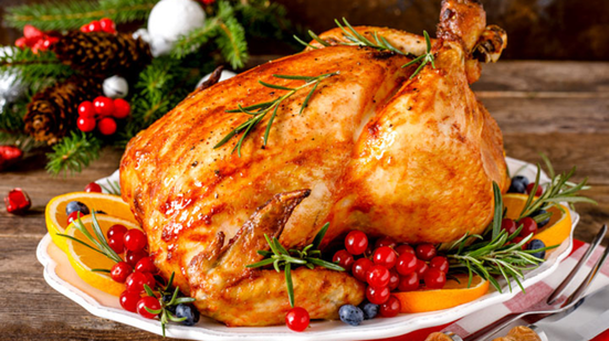 Foto: Reprodução/Canva