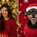 Foto: Reprodução (geradas por Gemini)