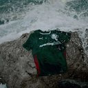 Foto: Reprodução/Palmeiras