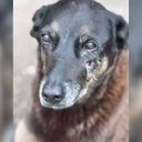 Foto: Reprodução/Redes sociais