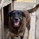 Foto: Reprodução/Redes sociais.