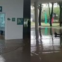 Foto: Reprodução/Redes sociais.