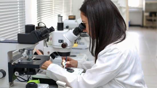 PAT da zona leste promove feirão de emprego nesta quarta\u002Dfeira (25)\u003B saiba mais