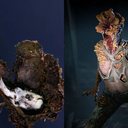 Foto: Divulgação/João Paulo Machado de Araujo/Naughty Dog.