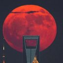 Foto: Reprodução/TianyaoYang